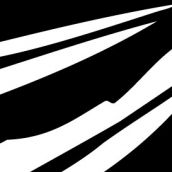 Aeternitas Tenebrarum Music Foundation “Logo”