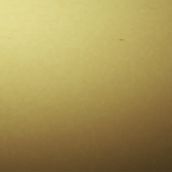 AURAL MUSIC “www.auralmusic.com”