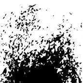 AUS DER TRANSZENDENZ “Logo”