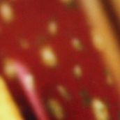 JOYLESS “Wild Signs of the Endtimes”