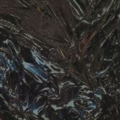 Serpent Ascending “The Enigma Unsettled”