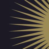 AUS DER TRANSZENDENZ “We Were Made to Reach Astra” shirt