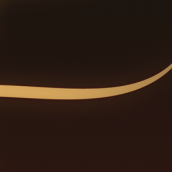 TEMPESTUOUS FALL “Logo”