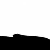 The Execution Kollective “website”