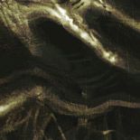 ÆVANGELIST “De Masticatione Mortuorum in Tumulis”