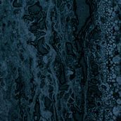 COIL COMMEMORATE ENSLAVE “L’infinita Vanità del Tutto”