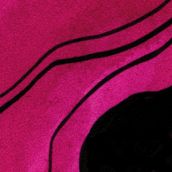 THE ORDER OF THE SOLAR TEMPLE “S/T”