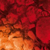 ECNEPHIAS “Ecnephias”