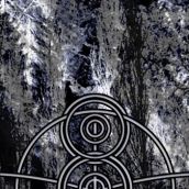 DISSVARTH “Logo”