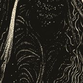 THE WAKEDEAD GATHERING “Fuscus”