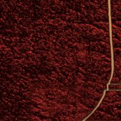 ANAMNESI “La Proiezione del Fuoco”