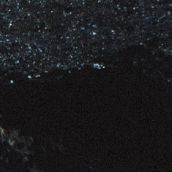 THE NEGATIVE BIAS “Lamentation of the Chaos Omega”