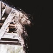 VERGE “The Process of Self-Becoming”