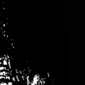 FORGOTTEN WOODS “As The Wolves Gather” & “Sjel Av Natten”