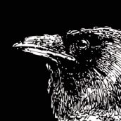 FORGOTTEN WOODS  “The Curse of Mankind”